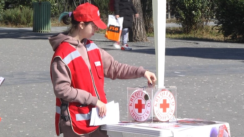 Shqiptarët solidarizohen me ndihma për ukrainasit, Bashkia Tiranë e Kryqi i Kuq në mbështetje të Ukrainës