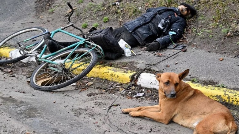 Pamje të tmerrshme nga Bucha, civili i ekzekutuar në rrugë, qeni qëndron pranë trupit të pajetë