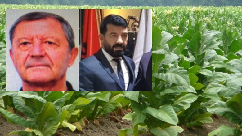 Kompania e turkut Fethi Kaya në dosjen 94 fermerëve të duhanit që u faturuan për krom, i akuzuari kryesor Xhevdet Hyseni, ja çfarë i bënë pas krahëve biznesmenit Gazmir Sardi