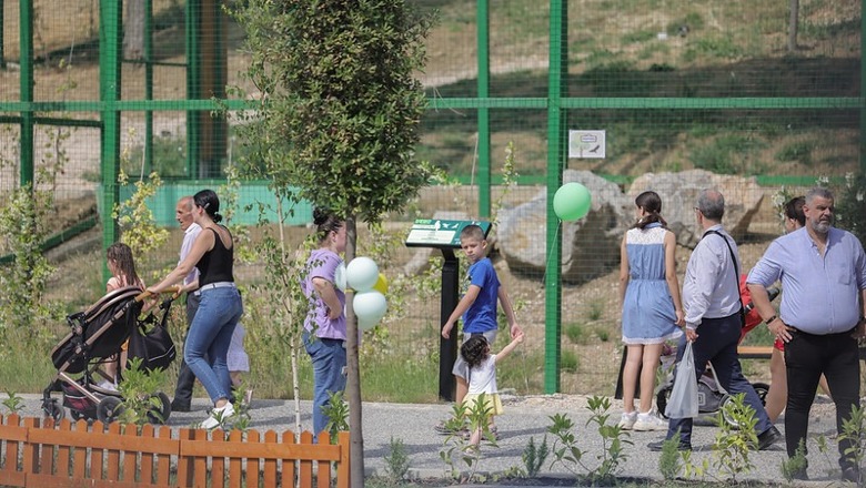 FOTOT/ Kopshti Zoologjik korr sukses që në ditën e parë, familjet e Tiranës dynden për ta parë
