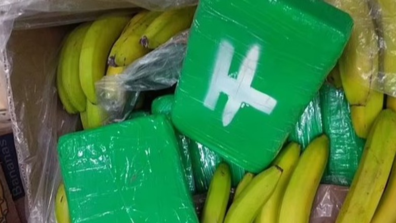 Me vlerë rreth 80 milionë euro, droga përfundon në markete bashkë me bananet, trafikantët ngatërrojnë ngarkesën në Çeki