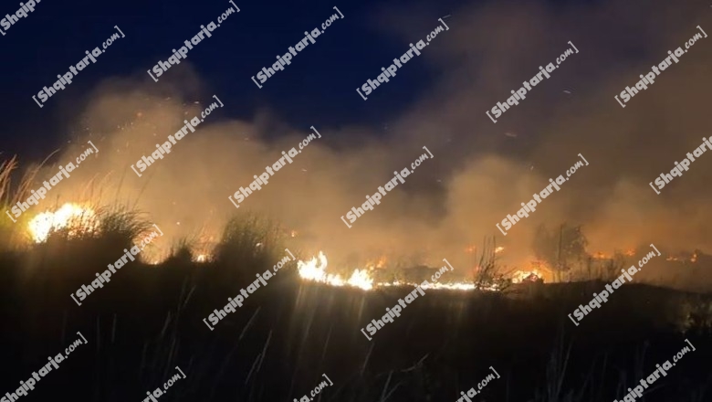 Shuhet plotësisht zjarri në Tale pasi shkrumboi 25 hektarë shkurre e bimësi! Shpëtojnë mrekullisht bizneset dhe banesat