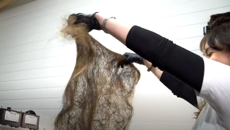 VIDEO/ Njihuni me Adelën, parukieren që me flokët e klientëve bën tapet! Nuk do e besoni se për çfarë e përdor (Jo extension) 