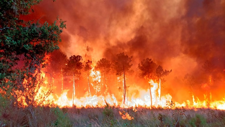 Pamje apokaliptike/ Zjarret në Francë dalin jashtë kontrollit, shkrumbohen 7 mijë ha pyje, evakuohen rreth 10,000 persona