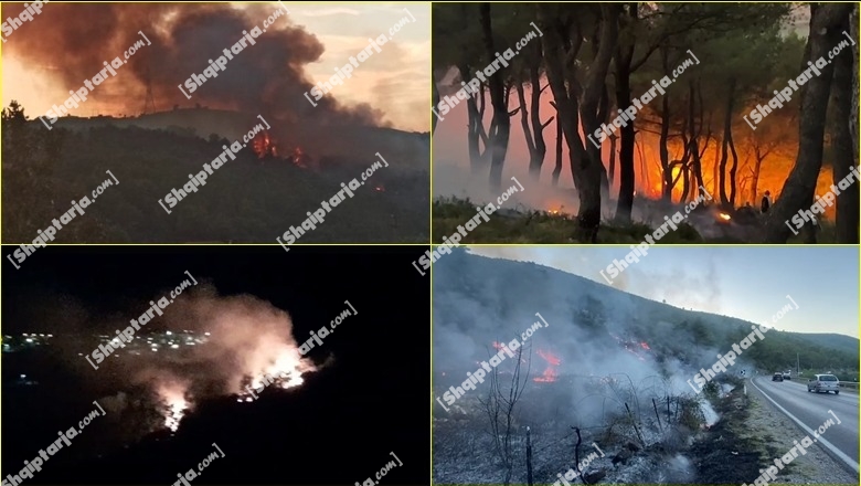 Vatra zjarri aktive në 5 qarqe të vendit, rrezikohen banesa! Flakët në krah të autostradës Lezhë-Milot! Vështirësi në qarkullimin e mjeteve (VIDEO)