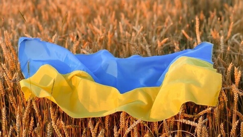 Lufta në Ukrainë/ Zelensky largon shefin e forcave speciale të ushtrisë! Kiev: Dërgesa e parë e grurit do të niset më 27 korrik