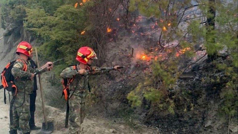 Ministria e Mbrojtjes: 5 vatra zjarri aktive në vend! Banorë, evakuohuni nëse është e nevojshme