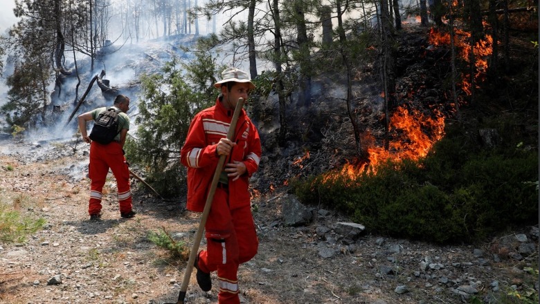 Me javë të tëra në luftë me flakët, zjarrfikësit në Shqipëri 'me armë' 50 vite të vjetra! Financimet minimale