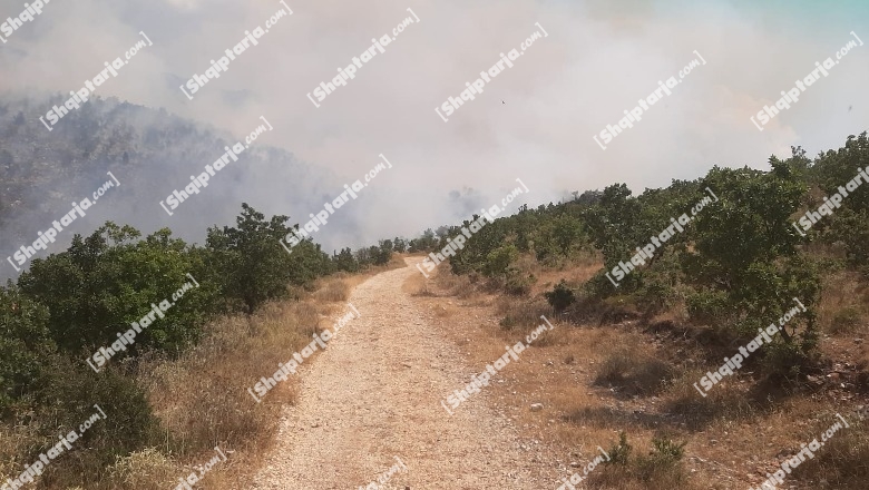 Zjarr në Tragjas të Vlorës, zjarrfikësit dhe pyjorja po punojnë për shuarjen e flakëve