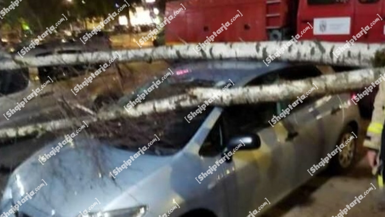 (FOTO) Rrëzohet pema në Korçë, zë poshtë dy makina