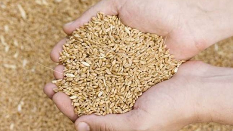 Zv.ministri i Infrastrukturës: Ukraina mund të eksportojë 3 milion ton grurë nga portet e saj në shtator