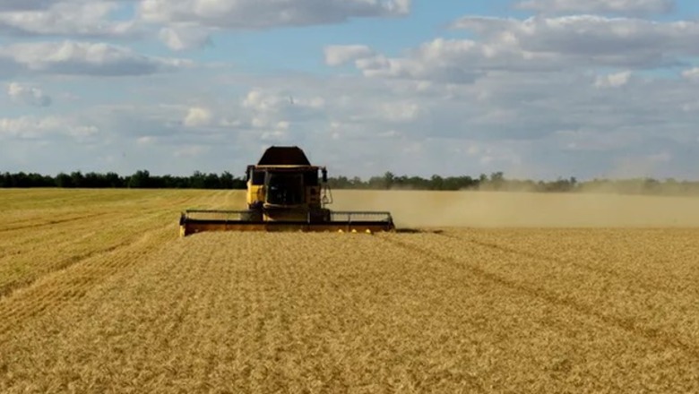 ‘Vetëm një pjesë e grurit të eksportuar nga Ukraina ka arritur në vendet e varfra’, Britania hedh poshtë deklaratat e Putinit