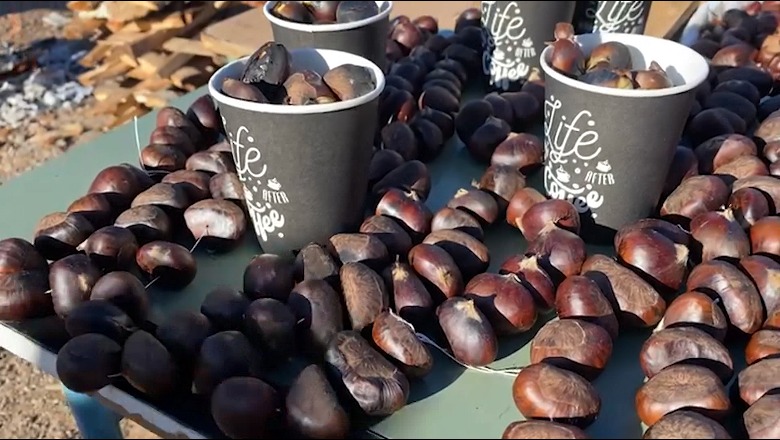 Elbasan/ Fermerët e Labinotit kremtojnë ‘festën e gështenjës’ por treg nuk gjejnë për prodhimet e tyre