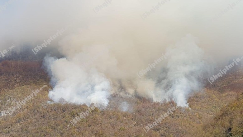 Tropojë/ Ende aktiv zjarri në pyllin e Gështenjave dhe Parkun e Dragobisë! Aktivizohet një tjetër vatër zjarri gjatë natës në Bujan