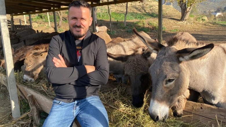 'S’u pendova që lashë Tiranën', gazetari që u bë fermer gomaricash