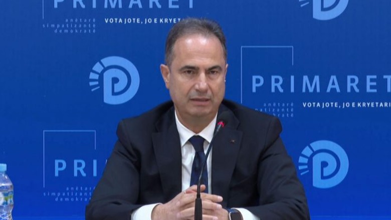 Zgjedhjet vendore, PD e Elbasanit: Nuk do nxjerrim kandidaturë edhe pas vendimit të Apelit, opozitës i duhet një kandidat unik, mbështesim Luçiano Boçin