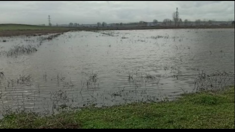 Moti i keq/ Tërhiqet uji në Lezhë, 220 ha tokë të përmbytura në gjithë qarkun