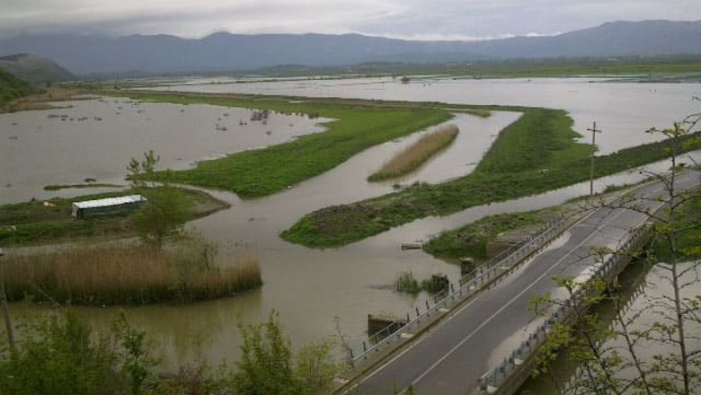 Moti i keq/ Vijon situata problematike në Shkodër, 15 banesa nën ujë, 1320 ha tokë e përmbytur! Përmirësohet Lezha 