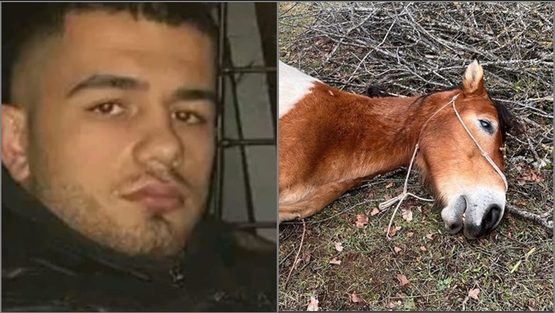 Vrau me armë gjahu kalin dhe plagosi një tjetër, hetohet në gjendje të lirë 24 vjeçari në Kolonjë (EMRI)