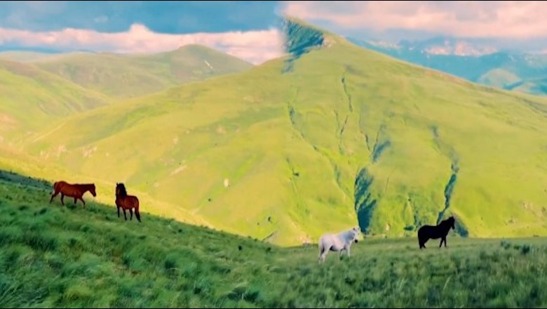 Faqja me rreth 25 mln ndjekës i bën reklamë Shqipërisë! Publikon videon mahnitëse me kuajt që vrapojnë në Shtegun e Ngjyrave në Kukës