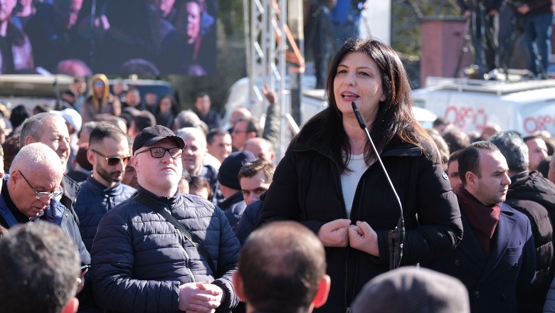 Apeli rrëzoi Berishën, Topalli: Nga sot kryetarët e partive i cakton kreu i qeverisë