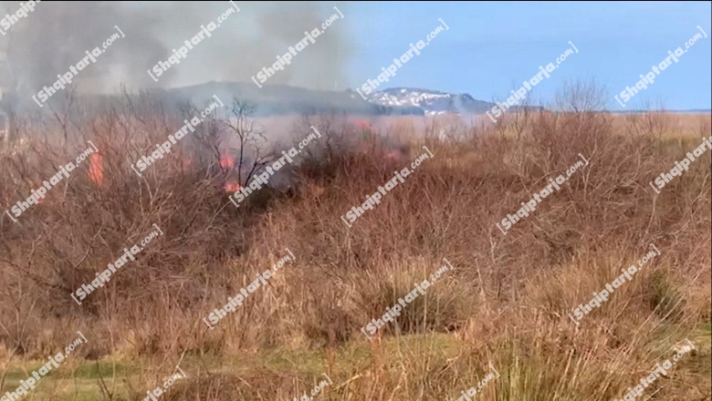 Zjarr në afërsi të fshatit Nartë të Vlorës, dyshohet i qëllimshëm (VIDEO)