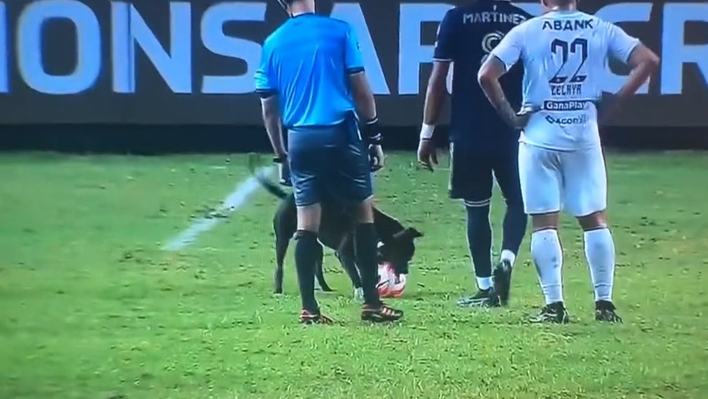 VIDEO/ Qeni futet në fushë gjatë ndeshjes dhe 'vjedh' topin