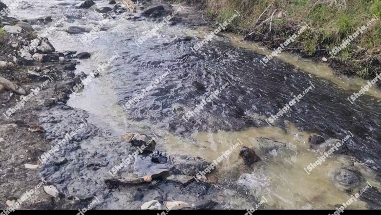 Mbetjet e naftës kërcënim për Parkun Kombëtar të Vjosës! Ndotja nga ‘Albpetrol’ në vendburimin e Gorishtit në Vlorë