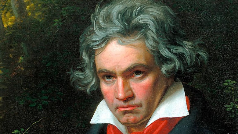 Beethoven nuk u helmua por vdiq nga mëlçia! ADN zbulon gjithçka për virtuozin! Babai i kompozitorit, fëmijë nga një lidhje jashtë martese