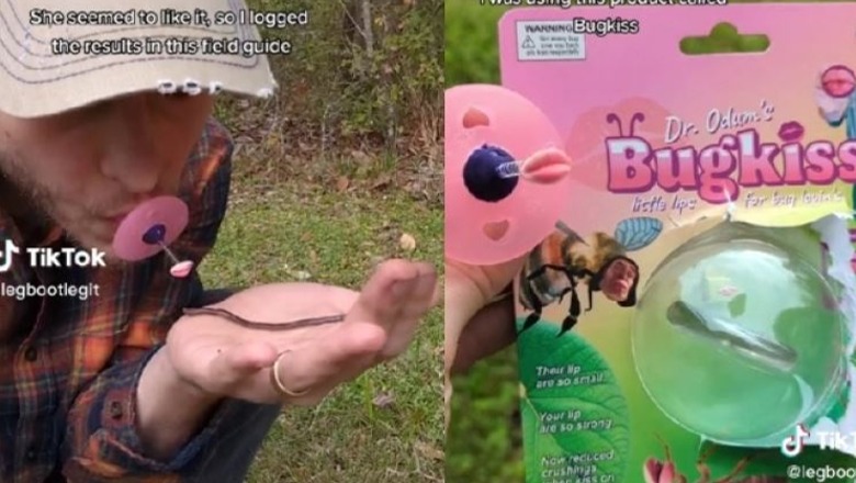 Një burrë në Florida shpik pajisjen që ju ndihmon të puthni insektet pa i dëmtuar ato (VIDEO)