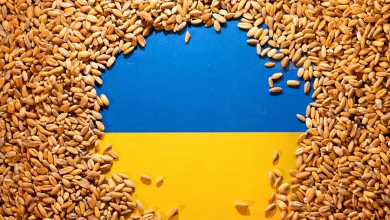 Pse BE-ja po vendos kufizime në importet ukrainase?