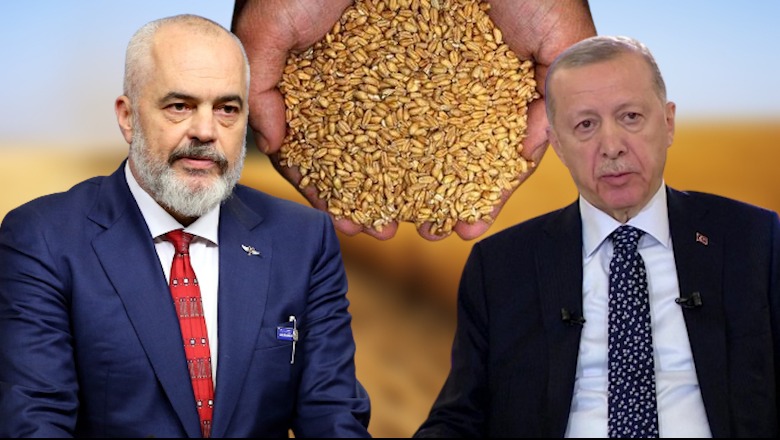 Marrëveshja për drithin nga Ukraina zgjatet me 2 muaj, Rama: Urime për Erdogan dhe rolin e tij vendimtar 