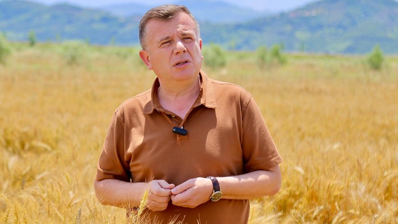 Prodhimi i grurit, Balla apel kompanive shqiptare: Fokusohuni tek blerja e grurit vendas