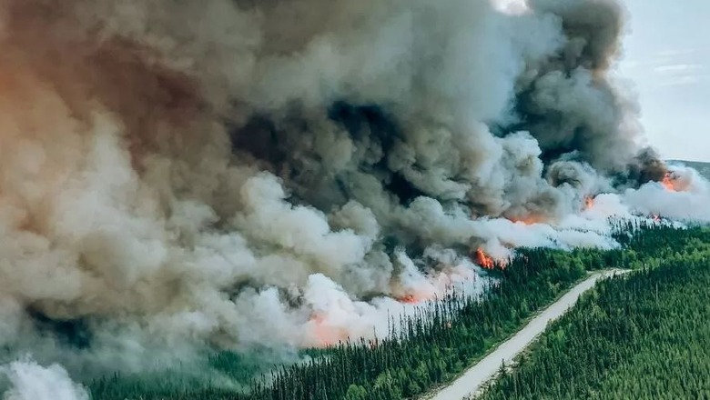 Situata emergjente në Kanada, zjarrfikësit në ‘luftë’ me 400 vatra zjarri