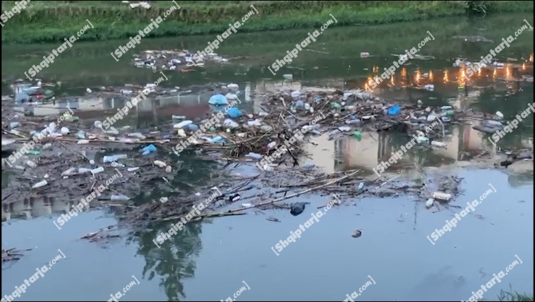 Moti i keq, shtrati i lumit Drin shndërrohet në landfill mbeturinash! Ndotje alarmante në sezon turistik (VIDEO)