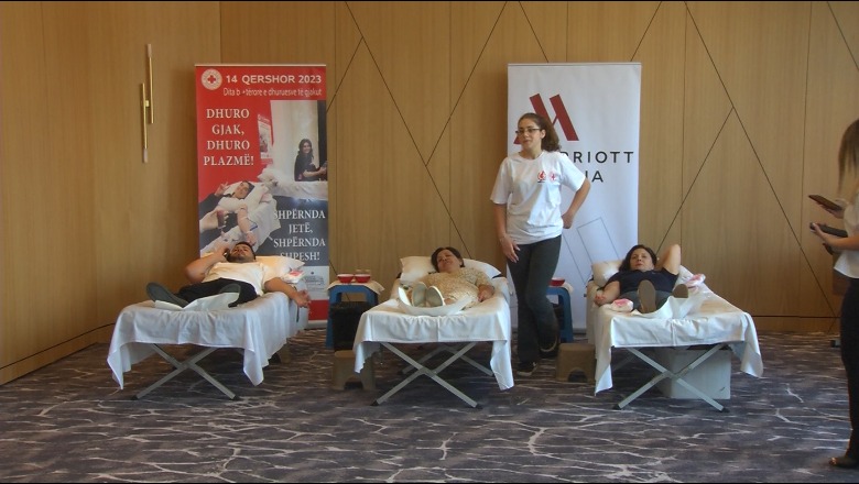 450 talasemikë në Shqipëri në vështirësi për gjak! Dhurimi plotëson vetëm 25% të nevojave! Vullnetarja: Hera e parë dhurova gjak për shoqen e djalit