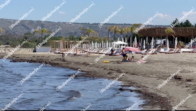 Braktiset plazhi Kune Vain në Shëngjin për shkak të ndotjes, çadrat e mbyllura! Pushuesit: Është mbushur me alga dhe leshterikë, të pastrohet