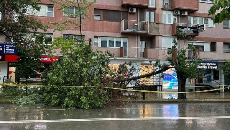 Moti i keq në Kosovë, erërat e forta rrëzojnë pemët në Prishtinë