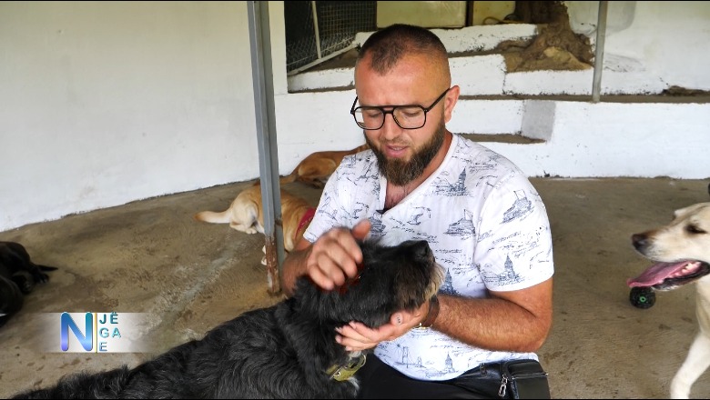 Bashkëjetoi me 30 qen, veterineri Ali Bali rrëfen jetën me katërputroshët: Oraret e punës m'i sistemon Zoti