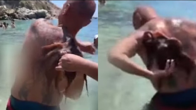 VIDEOLAJM/ Oktapodi 'sulmon' turistin dhe nuk e lëshon, video me miliona klikime