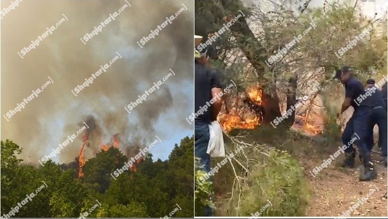 Banori i fshatit i vuri flakën pyllit të Peshtanit në Fier, donte të hapte kullotat! U desht ndërhyrja e helikopterit të shuante zjarrin