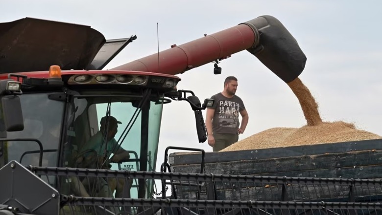 BE-ja e gatshme të gjejë rrugë alternative për eksportin e grurit të Ukrainës