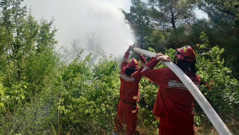 Situata e zjarreve në vend, ministri Peleshi: 5 vatra aktive janë evidentuar gjatë ditës së sotme