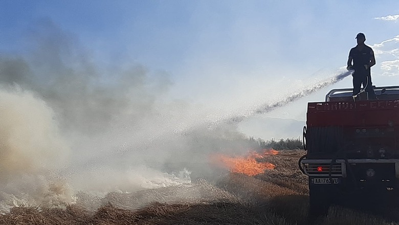 Riaktivizohen sërish vatrat e zjarrit në Sheqeras në Maliq! Digjet 80 ha kashtë