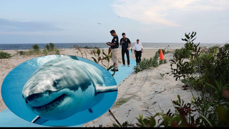 50-vjeçarja sulmohet nga peshkaqeni, mbyllet plazhi më i njohur në Nju Jork
