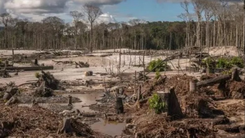 Amazona po përballet me shpyllëzimin më të madh