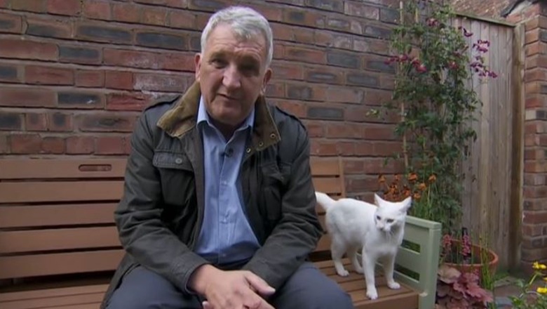 Macja ndërpret gazetarin e BBC gjatë raportimit të drejtpërdrejtë (VIDEO)