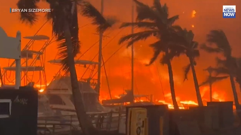Zjarret në Hawaii, guvernatori amerikan: Mund të gjenden deri në 20 viktima në ditë