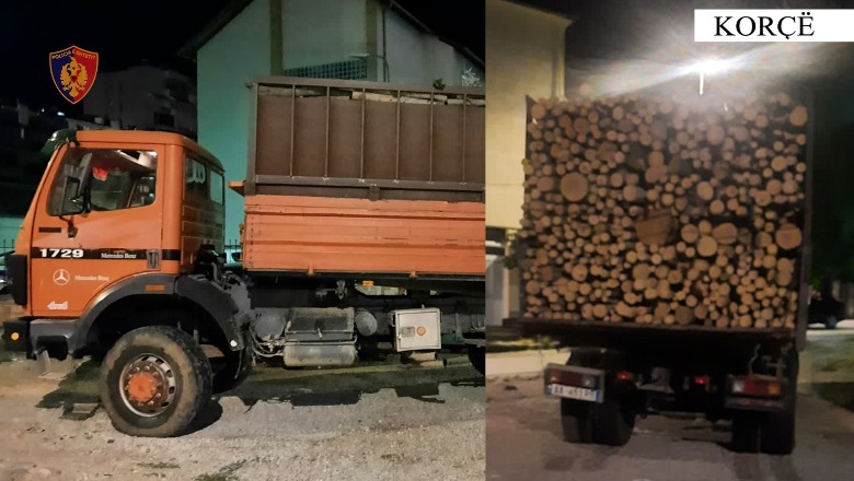 Po transportonte me kamion 16 m³ dru të prerë në mënyrë të paligjshme, vihen nën hetim 46-vjeçari në Korçë
