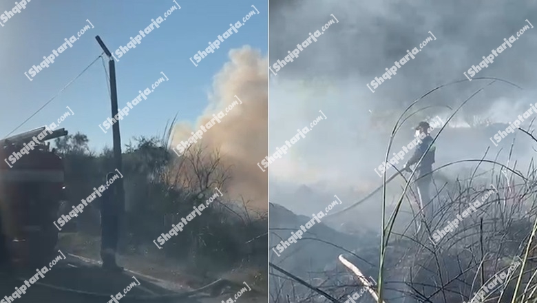 VIDEOLAJM/ Zjarr në Zvërnec, digjen pemë e shkurre! Zjarrfikësit ndërhyjnë për të shuar flakët